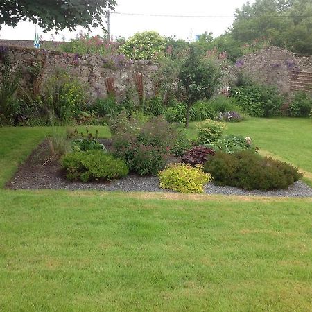 Clochard Bed & Breakfast Galway Exteriör bild